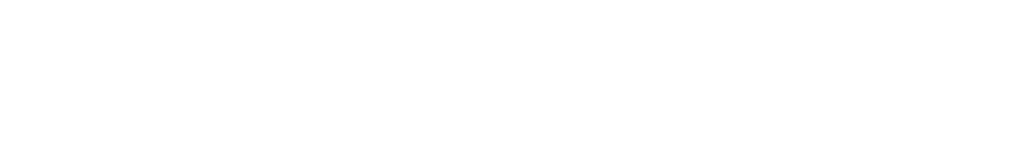 CloudVerve Technologies